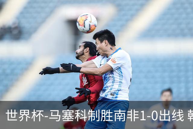 世界杯-马塞科制胜南非1-0出线 韩国积3分获小组第三待定