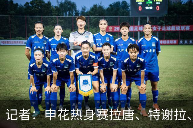 记者：申花热身赛拉唐、特谢拉、米内罗、刘诚宇没有出场